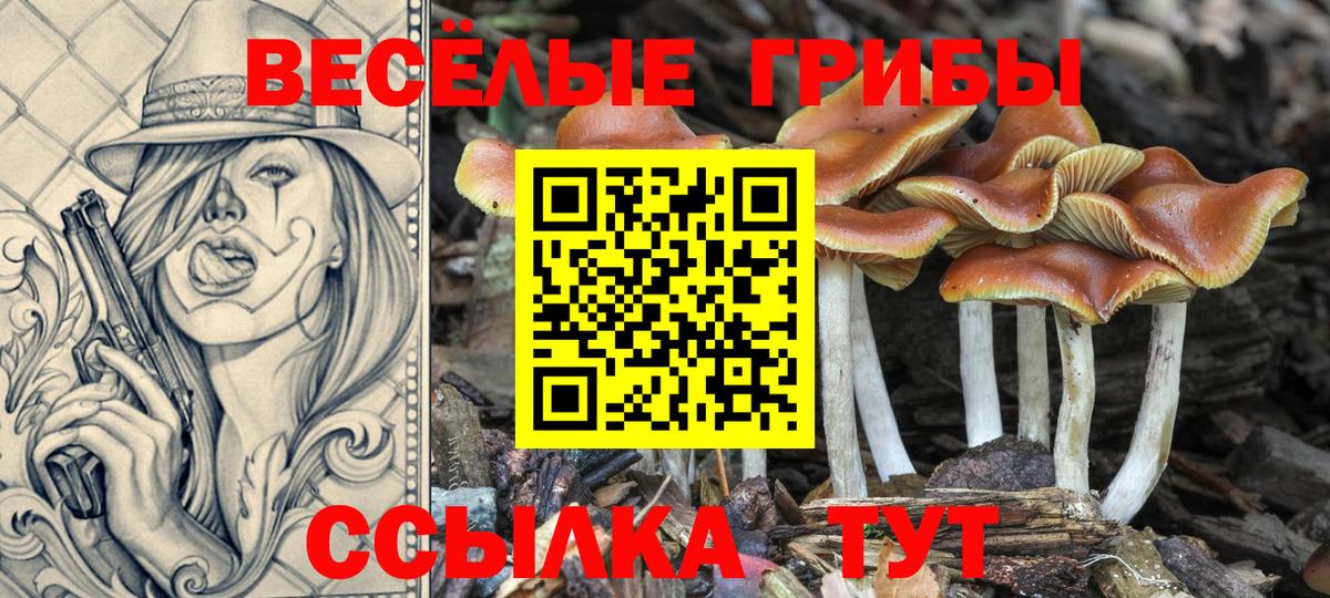 Галлюциногенные грибы Cubensis Лангепас